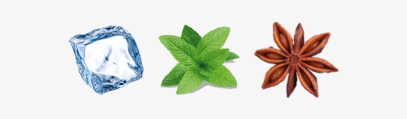 An Icy Burst Of Fresh Mint Leaves - Perennial Herb Mint Seeds, transparent png