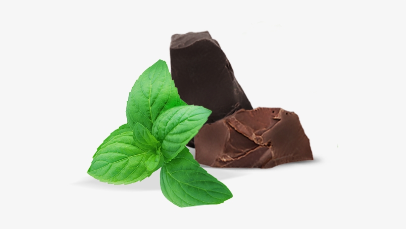 Pepermint Png - Mint And Chocolate Png, transparent png
