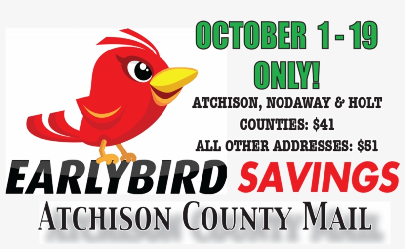 Would You Like To Receive He Atchison County Mail In - Cartoon, transparent png