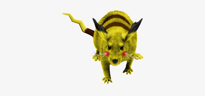 [ Img] - Rat Leptospirosis, transparent png