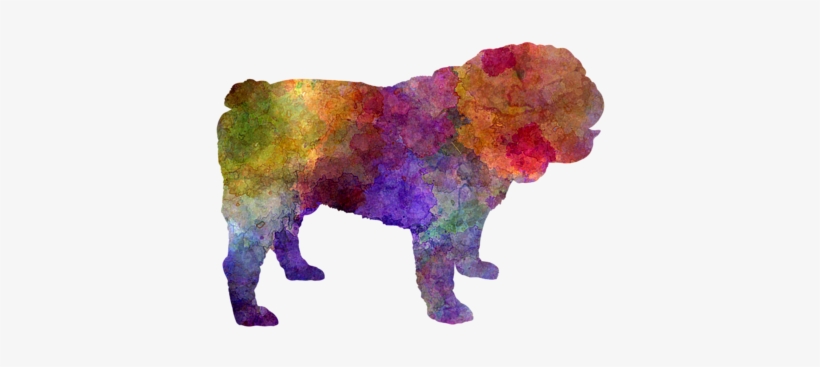 Bleed Area May Not Be Visible - English Bulldog In Watercolor, transparent png