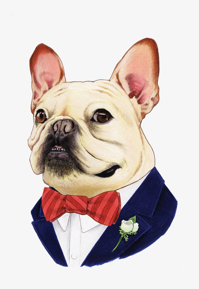 French Bulldog - Berkley Bestiary Frenchie Portrait Square Tray By Galison, transparent png