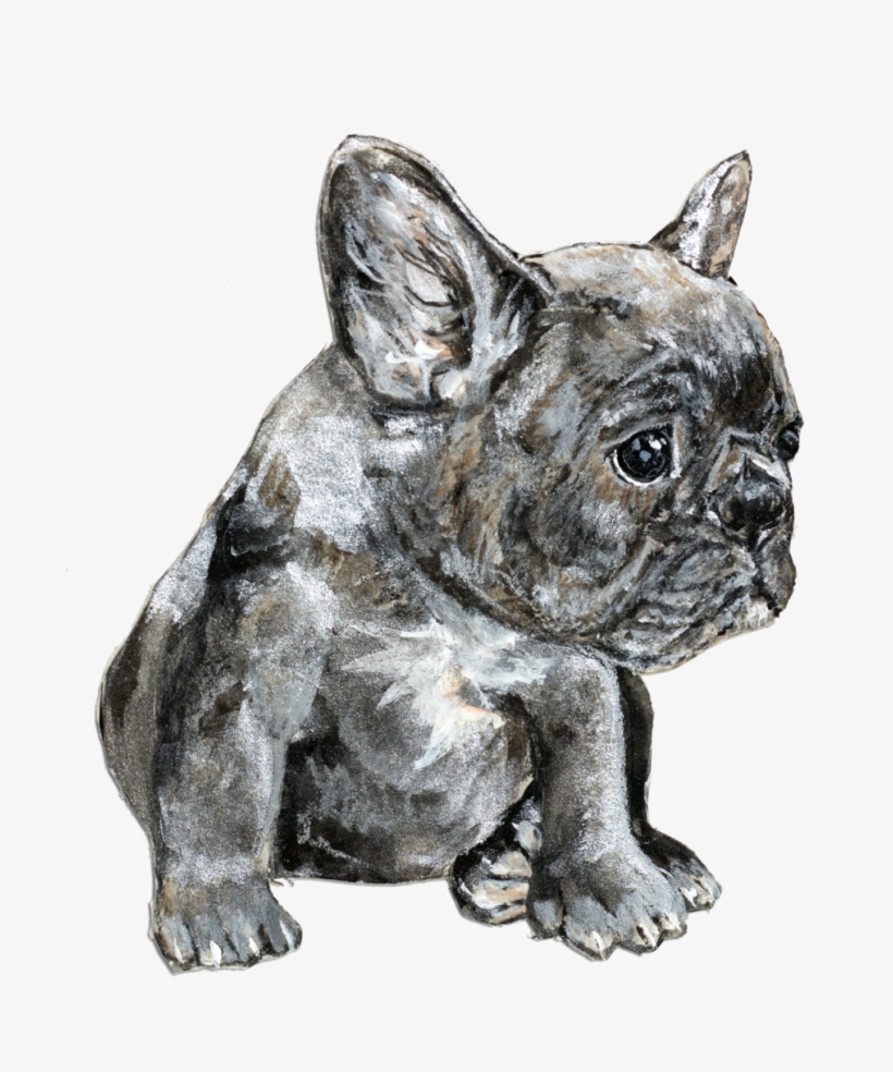 Frenchie - Portable Network Graphics, transparent png