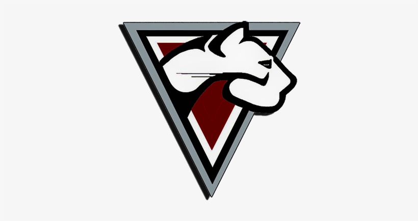 Puma Recorders And Software - Software, transparent png