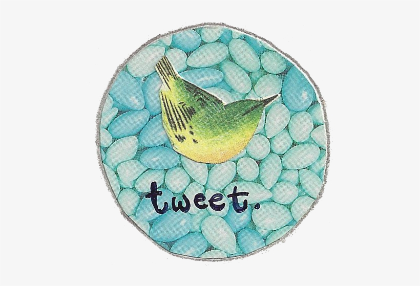 Facebook Twitter Pinterest - Budgie, transparent png