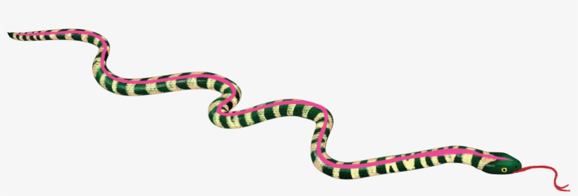 Heartofwhiteness-snake - Illustration, transparent png