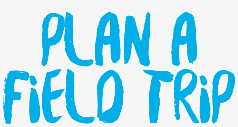 Plan A Field Trip - Field Trip, transparent png