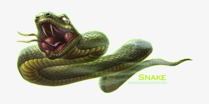 Snake Png Clipart - Portable Network Graphics, transparent png
