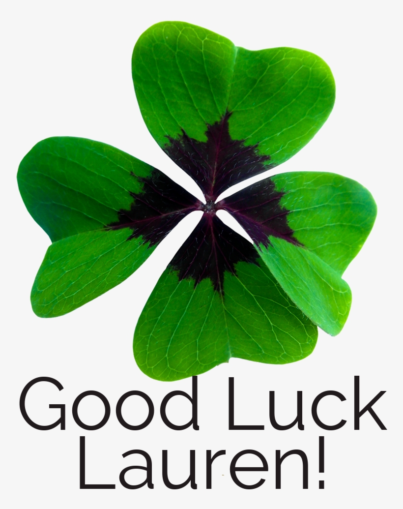 Nebdn Implant Nursing Exam - Stairlift, transparent png