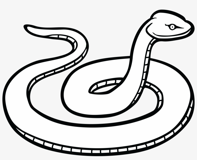Free Clipart Of A Snake - Snake Clipart Black And White, transparent png