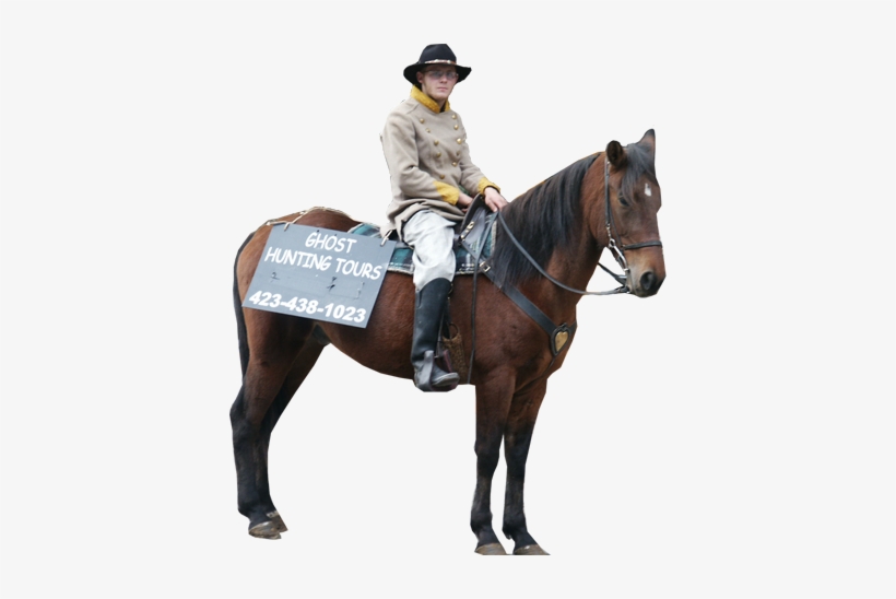 In Fact, There Is A Team Of Dedicated Real Life Ghost - Stallion, transparent png