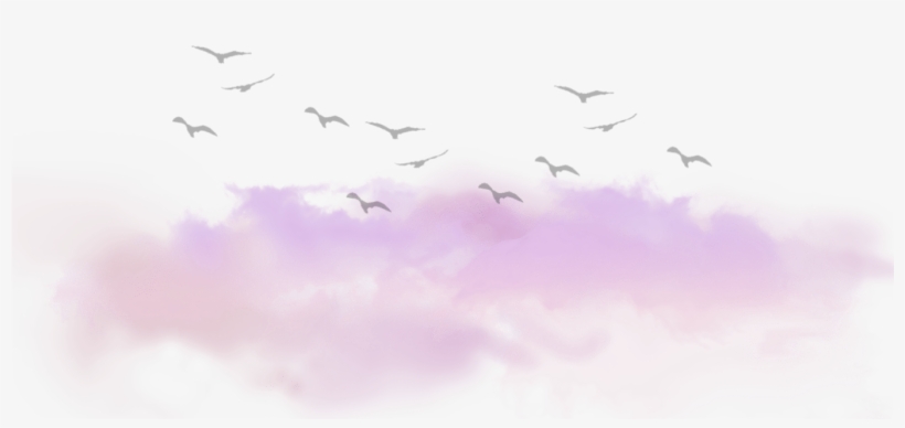 Clouds Cloud Birds Tumblr Kawaii Ftestickers - Clouds Tumblr Png, transparent png