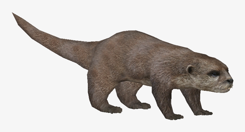 Asianotterludo - Zoo Tycoon Otter Png, transparent png