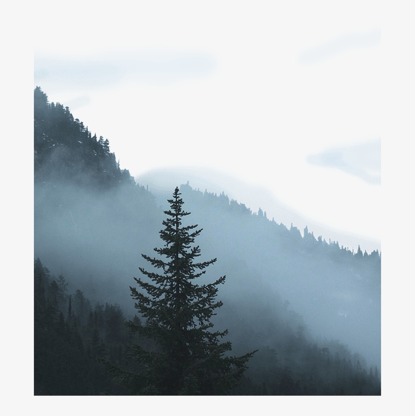 Land Of The Lost - Mist, transparent png
