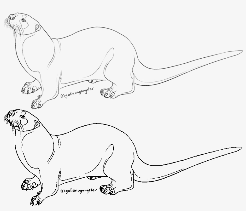 Free Otter Lineart By Galianogangster On Deviantart - Line Art, transparent png