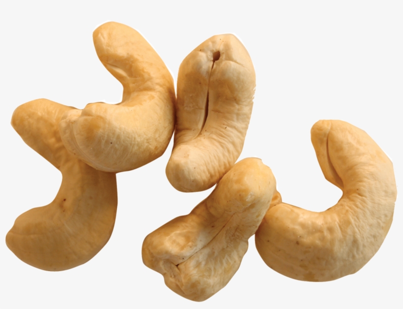Cashew Nut Png - Kajoo Dry Fruit Tree, transparent png