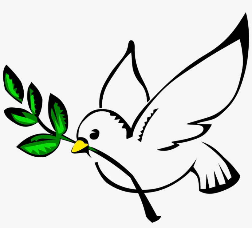 White Dove 159498 960 720 837×720 Pixeles - Peace Dove, transparent png