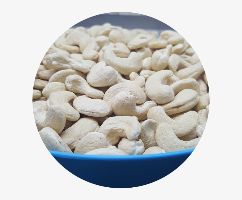 Our Quality And Infrastructure - Keshar Cashewnuts, transparent png