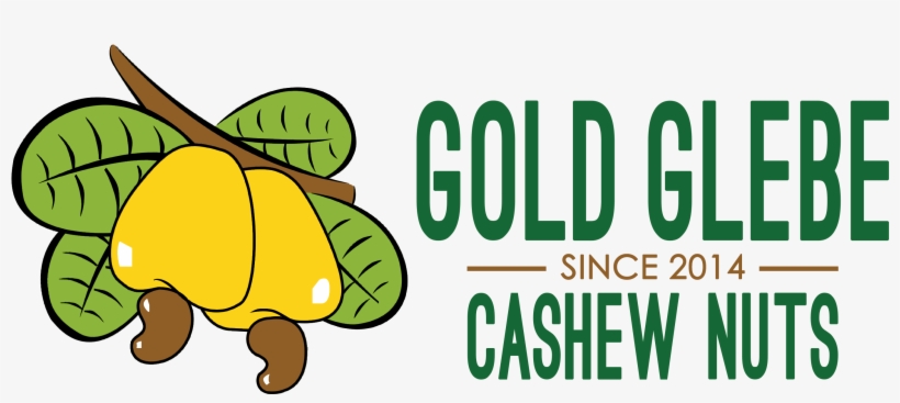 Nut Clipart Cashew - Paul Mccartney Looking For Changes, transparent png