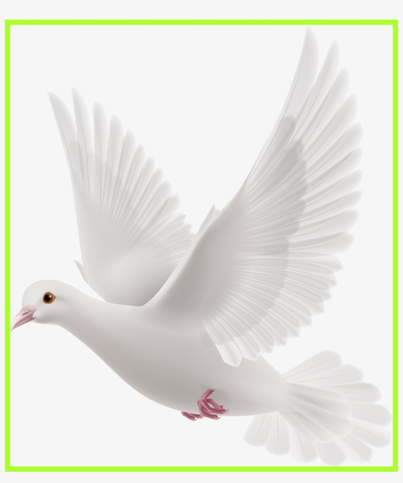Fascinating Doves Preobrazovannyj Png Clip Art Album - Communication With Pigeon, transparent png