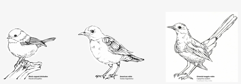 See My Sketchbook Here - Illustration, transparent png