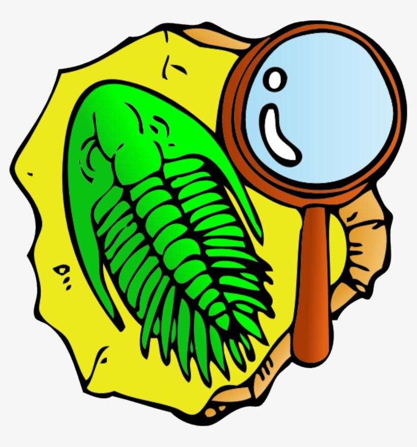Tags - - Fossils Clipart Png, transparent png