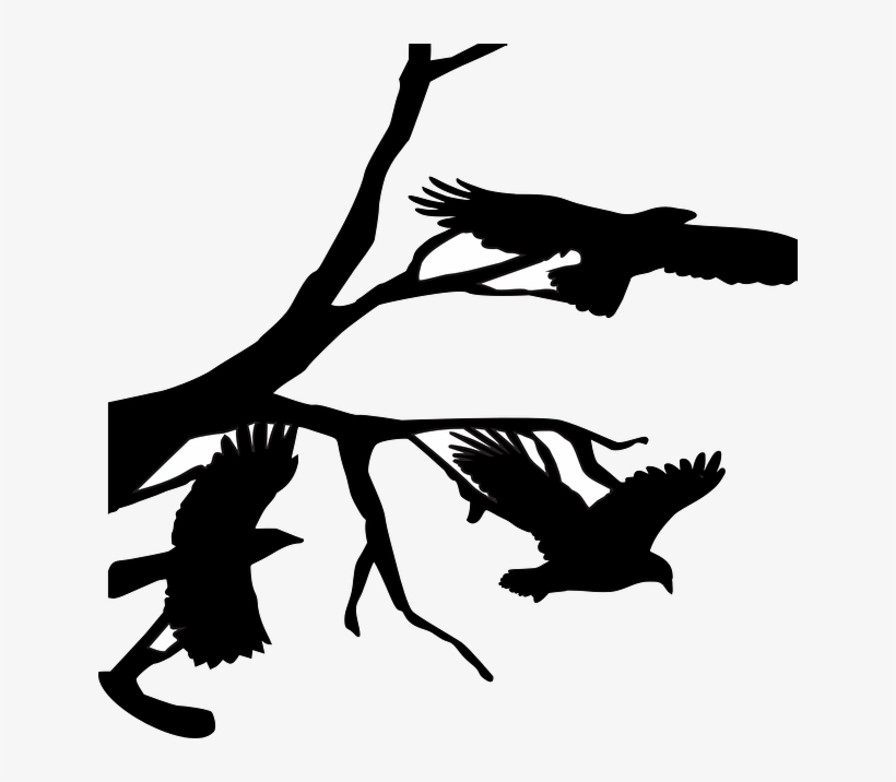 Free - Die Toten Seelen [book], transparent png