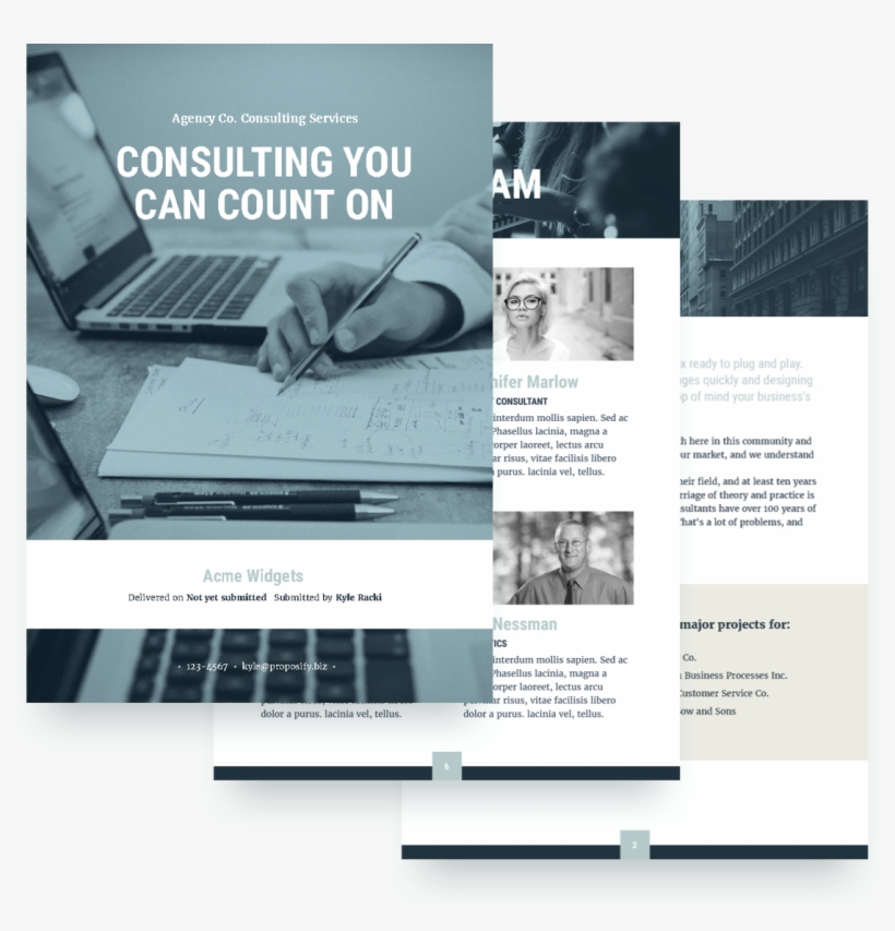 Consulting Proposal Template, transparent png