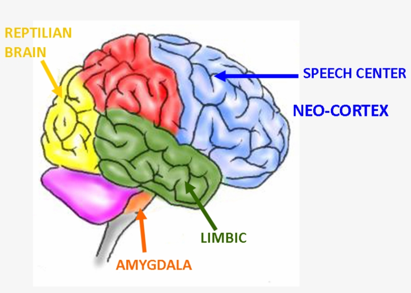 Let's Put All Of This Into Context Imagine You Are, transparent png