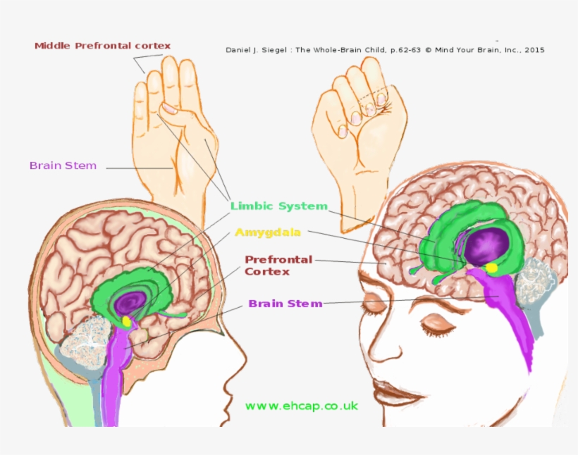 Take A Look At Downloadable Emotion Resources For Using, transparent png