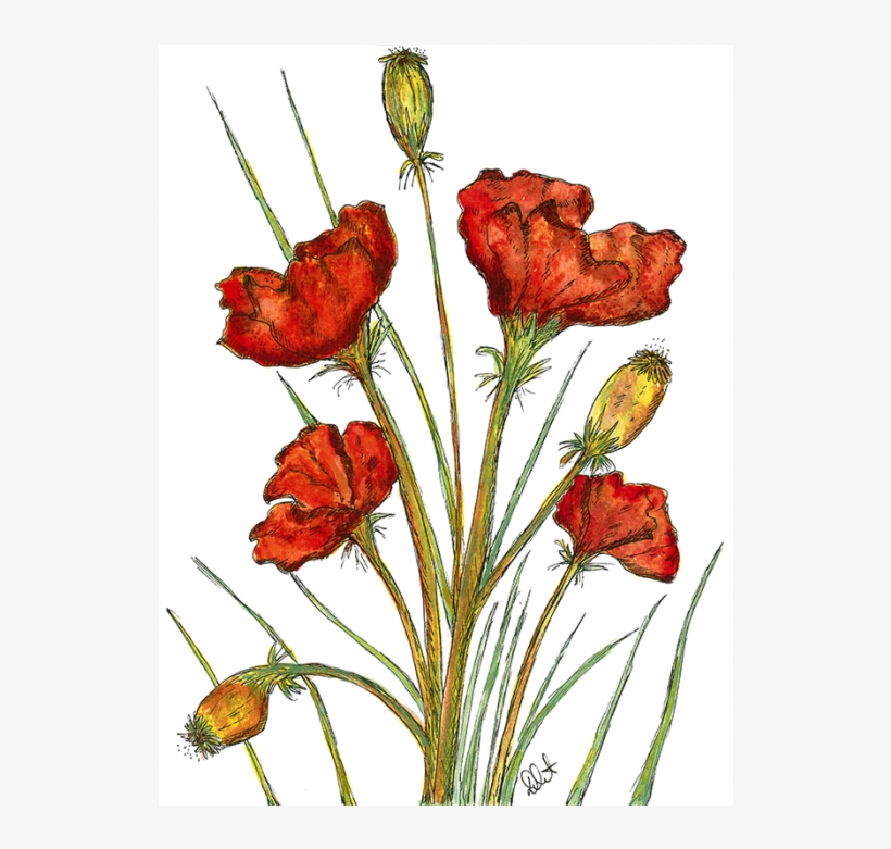 Colour Fine Art Print, transparent png