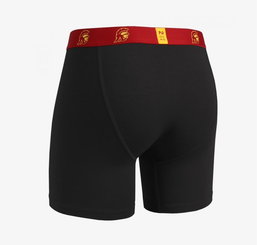 Swing Shift 6in Boxer Brief, transparent png