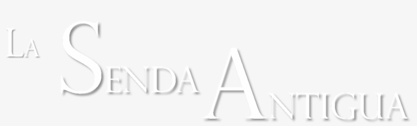 Logo, transparent png
