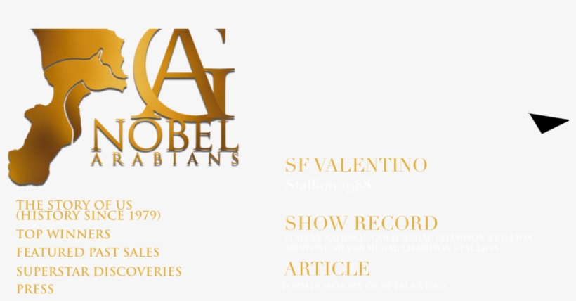 Valentino Logo Png, transparent png
