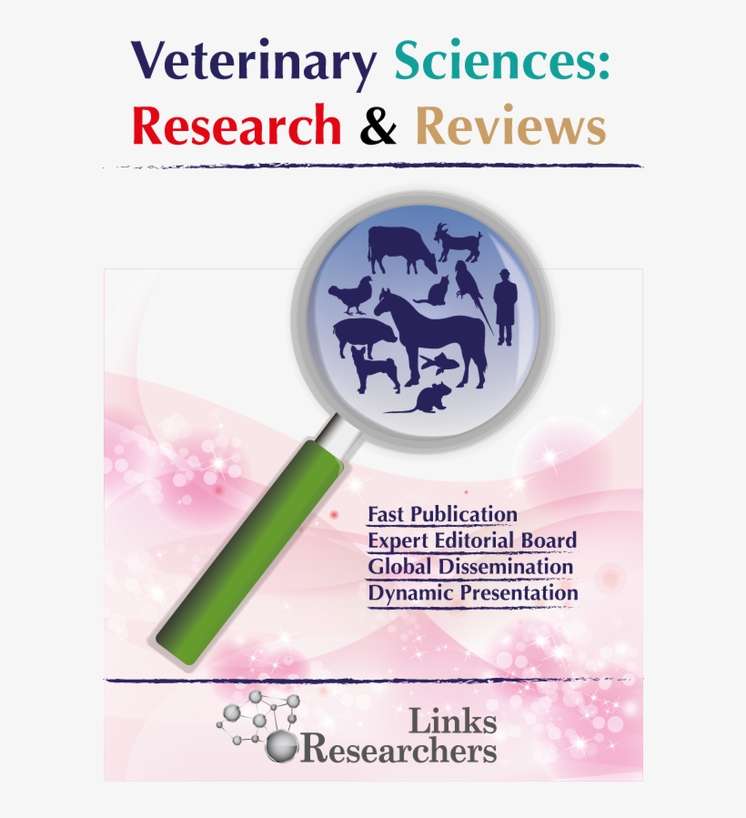 Comparative Therapeutic Evaluation Of Partial Excision, transparent png