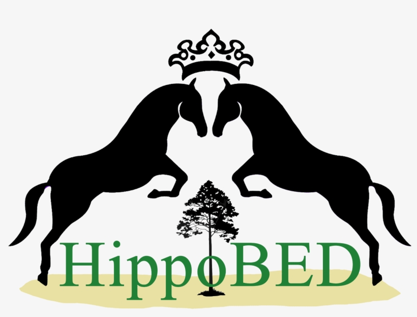 Hippobed, transparent png