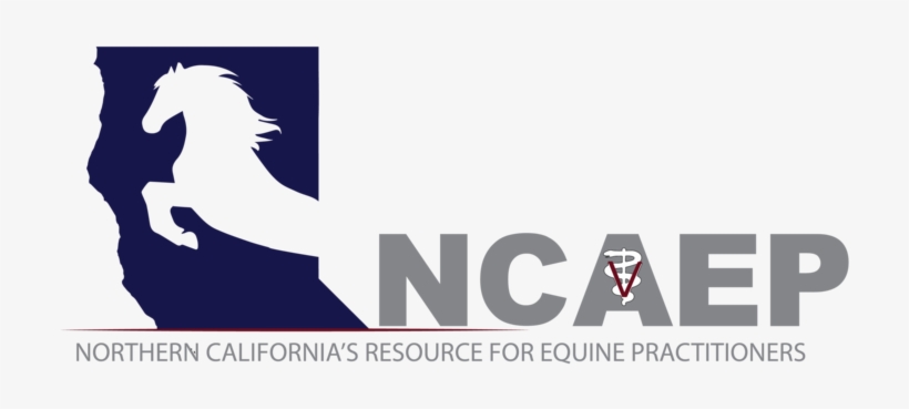 Ncaep Unlined Long Tagline-01, transparent png