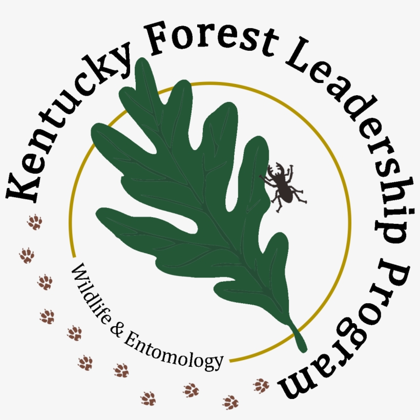 Logo, transparent png
