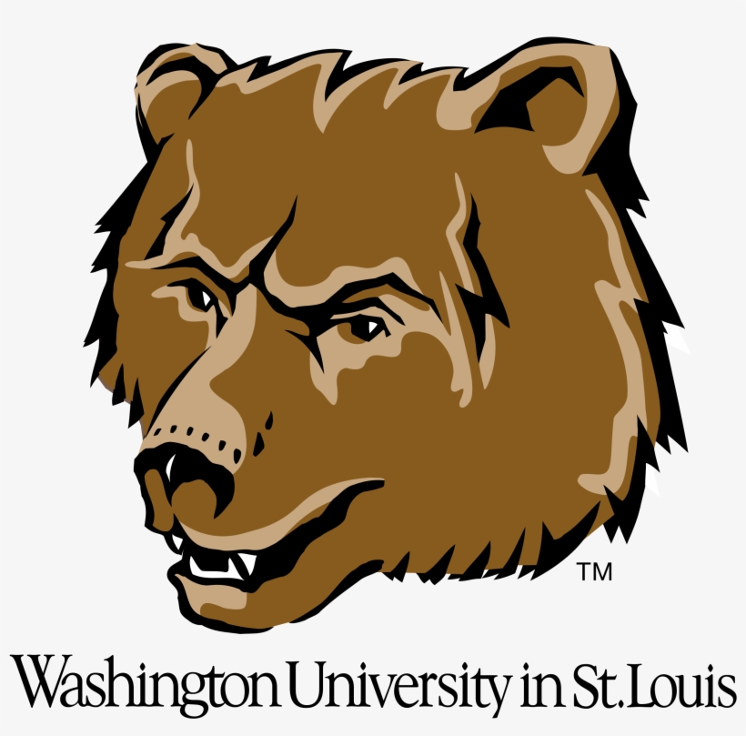 Washington Bears Logo Png Transparent, transparent png