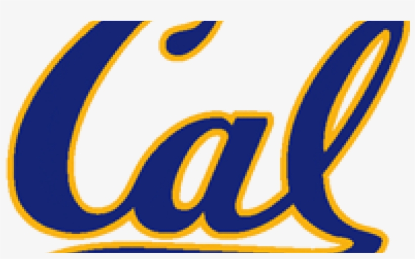 Bears Logo Png, transparent png