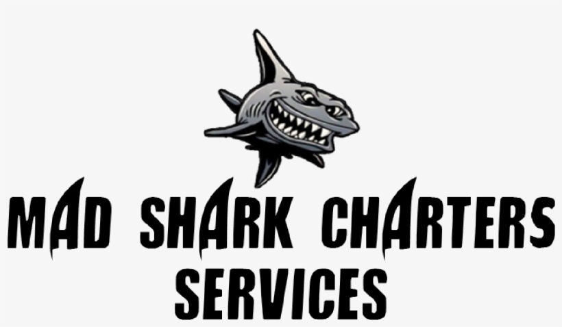 At Mad Shark Charters We Realize That Each Guests Experience, transparent png