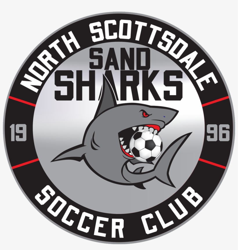 Sharks Logo Png, transparent png