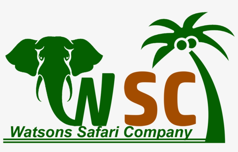 Knight Logo, transparent png