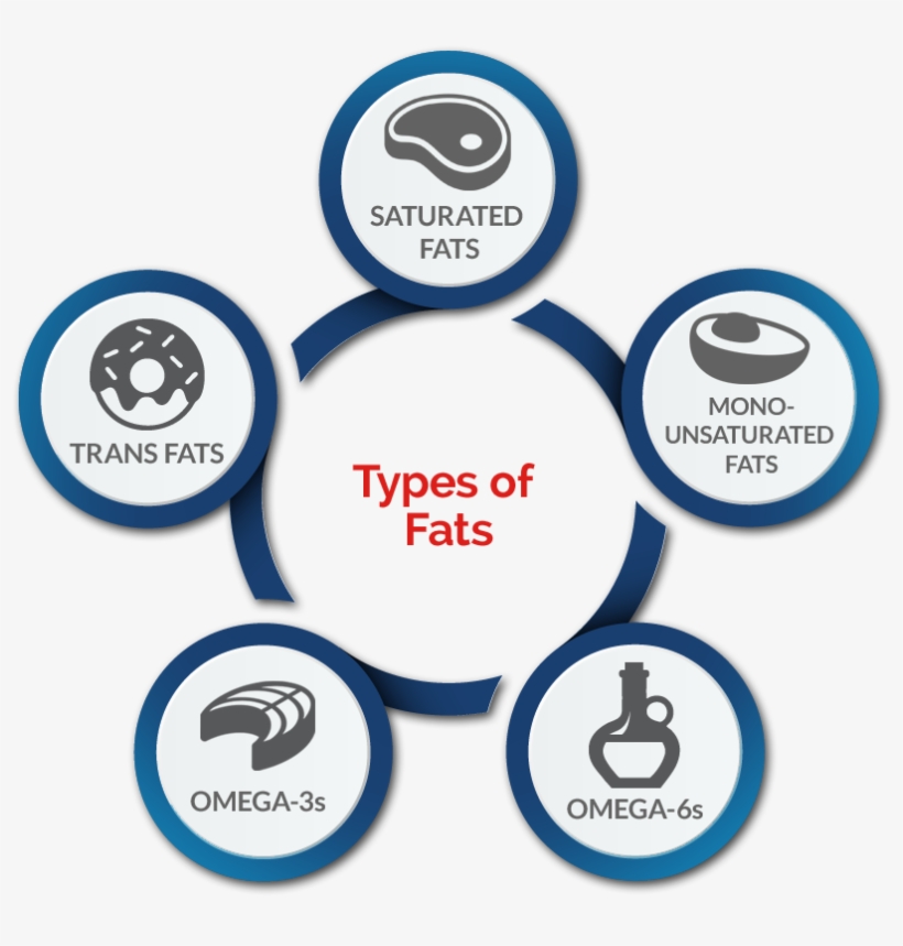 The Only Way To Know Your Blood Levels Of Fatty Acids, transparent png