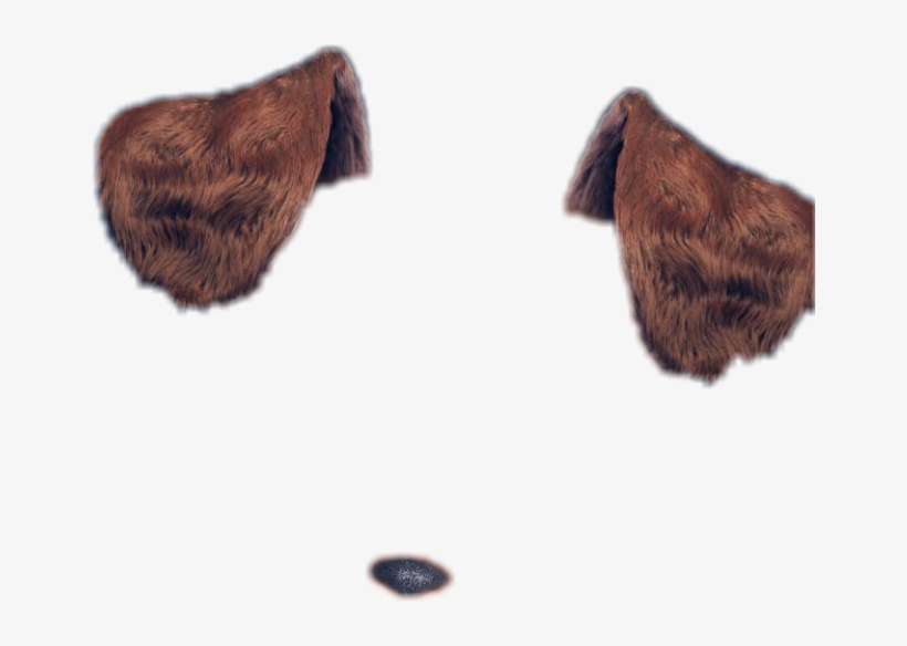 Report Abuse, transparent png