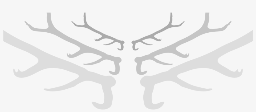 Red Deer Major Lacrosse Association, transparent png