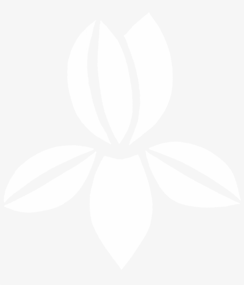 Iris Magazine, transparent png