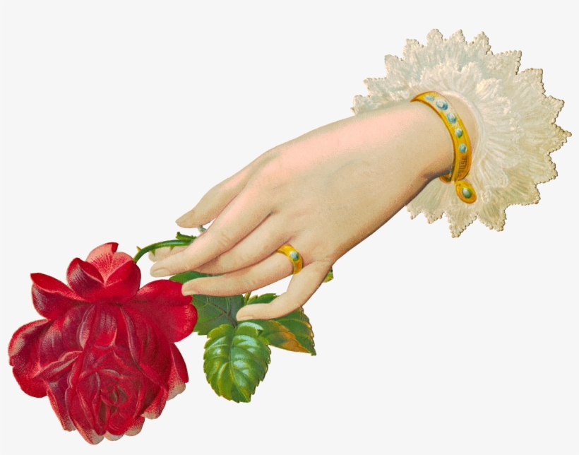 Download File, transparent png