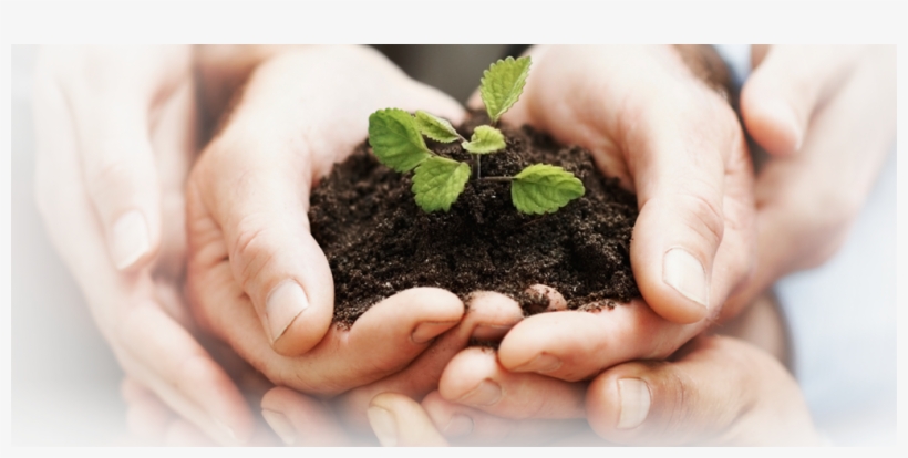 Planting Communities, One Seed At A Time, transparent png
