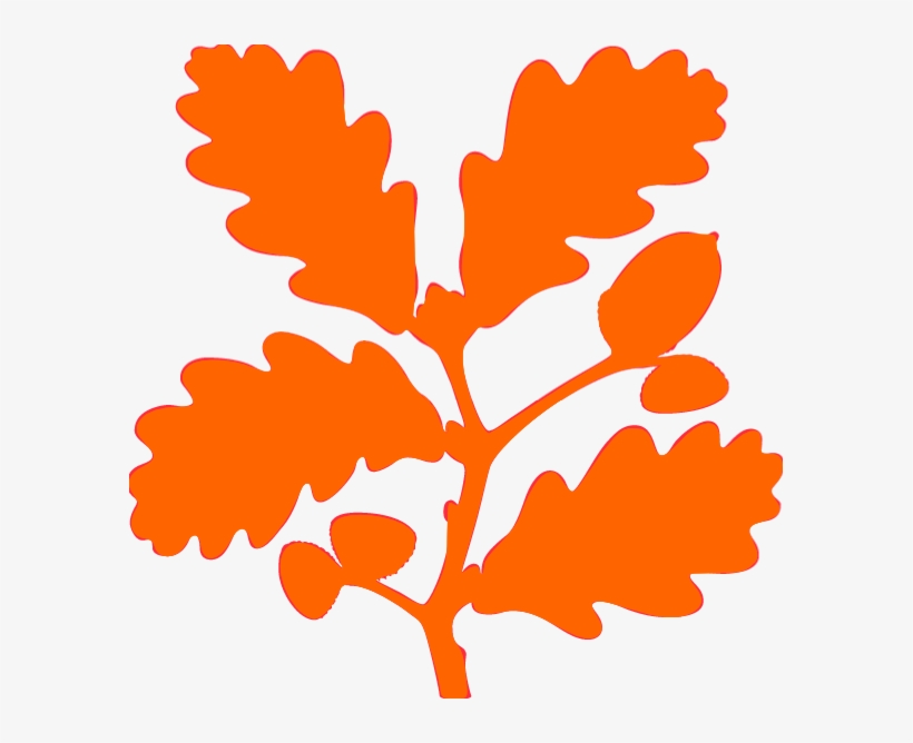 National Trust Running Races, transparent png